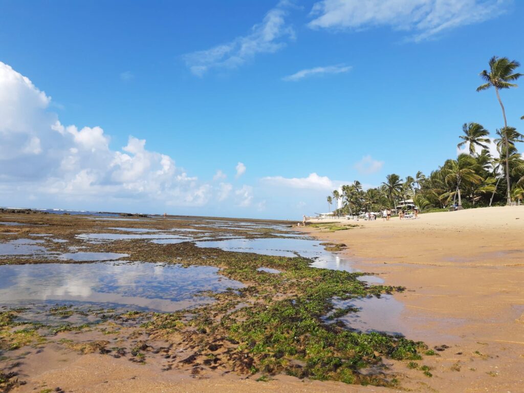 Feriado de Corpus Christi em Praia do Forte: fé, cultura e natureza em um só destino